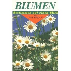 Blumen. Bestimmen auf eine Blick mit Faltplan