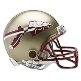 Florida State Riddell NCAA Mini Replica Helmet