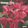 Orchids 2004 Calendar