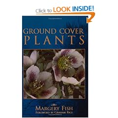 Ground Cover Plants