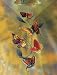 Sunblossom Butterfly Mobile