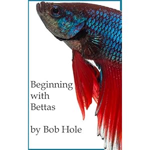 Beginning with Bettas