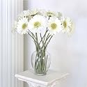 Gerber Daisy Silk Flower Stems - White Set of 6
