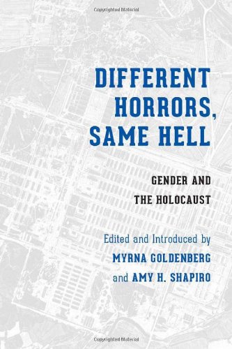 Different Horrors / Same Hell: Gender and the Holocaust (Stephen S. Weinstein Series in Post-Holocaust Studies)