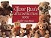 A Teddy Bear's Little Instruction Book (Little Instruction Books) by David Brawn ISBN 0722532148