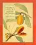Historical Drawings of Native Flowers (Ash Island Series)