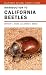 Introduction to California Beetles
