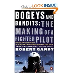 Bogeys and Bandits: The Making of a Fighter Pilot