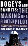 Bogeys and Bandits: The Making of a Fighter Pilot