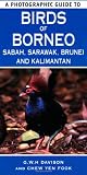 A photographic guide to birds of Borneo : Sabah, Sarawak, Brunei and Kalimantan