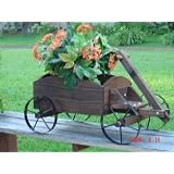 Steel Wagon Planter by Unimax Inc.