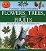 Flowers, Trees, and Fruits (Young Discoverers: Biology Facts and Experiments)
