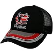 Chase Authentics Dale Earnhardt Black Bubble Mesh Adjustable Trucker Hat