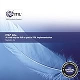 ITIL Lite : a road map to full or partial ITIL implementation