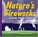 Nature's Fireworks: A Book About Lightning (Amazing Science: Weather)