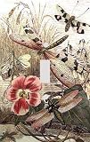 Dragonfly Dance I Decorative Switchplate Cover