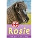 Rosie: The Problem Pony (Animal Rescue)