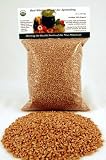 1 Lb -Certified Organic Hard Red Wheat Seed - Plant & Grow Wheatgrass, Grind to Make Flour & Bread, Store for Emergency Food Storage, Ornamental Wheat Grass & More - Excellent Germination Rate