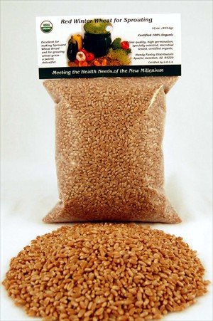 1 Lb -Certified Organic Hard Red Wheat Seed - Plant & Grow Wheatgrass, Grind to Make... by Living Whole Foods