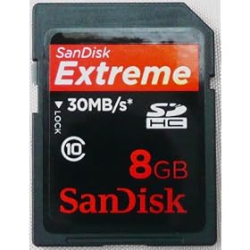 Secure SDHC SanDisk Extreme Digital Class Card 30MB/sec 