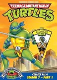 Teenage Mutant Ninja Turtles: Season 7, Pt. 1 - The Leonardo Slice