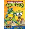 Teenage Mutant Ninja Turtles: Season 7, Pt. 1 - The Leonardo Slice