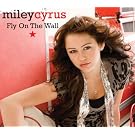 Fly On The Wall