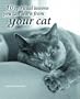 10 Spiritual Lessons You Can Learn from Your Cat