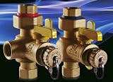 Webstone Valve 60443PR N/A The Isolator E-X-P 3/4