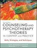 Counseling and Psychotherapy Theories in Context and Practice: Skills, Strategies, and Techniques