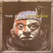 Dreamtime