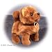toy dog baby chow chow