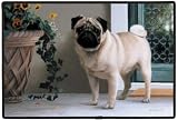 Dog Breed Doormats by Fiddlers Elbow - Pug
