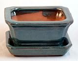 518UwnkoIyL. SL160  Small Ceramic Bonsai Pot plus Saucer   Blue