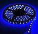 Zitrades 16.4 Feet 300 SMD LED Flexible Strip with Waterproof Sleeve,12 Volt Clear Blue Color LED Ribbon 5 Meter Reel,3528CW .By Zitrades