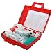 Spilfyter 520250 Specialty Spill Control Standard Mercury Spill Kit