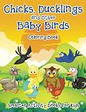 Chicks, Ducklings and Other Baby Birds Coloring Book