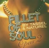 Fillet of Soul: Opus 2