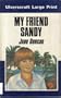 My Friend Sandy (Ulverscroft Large Print Series)