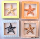Set /4 Shadow Boxes Starfish Tropical Beach Decor New Set /4 Shadow Boxes Starfish Tropical Beach Decor New