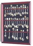 36-Spoon Display Case Cabinet Holder w/ Glass Door