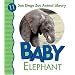 Baby Elephant (San Diego Zoo Animal Library)