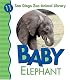 Baby Elephant (San Diego Zoo Animal Library)