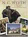 N. C. Wyeth Paintings Cards: 24 Full-Color Cards (Card Books)