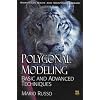 Polygonal Modeling: Basic and Advanced Techniques (Wordware Game and Graphics Library)