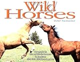 Wild Horses