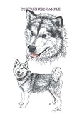 Alaskan Malamute - Double Image by Cindy Farmer