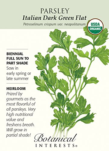 Italian Dark Green Flat Parsley Seeds - 1.5 g - Organic Italian Dark Green Flat Parsley Seeds - 1.5 g - Organic