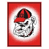 Georgia Bulldogs 48x60 Focus Series Acrylic Triple Woven Blanket Throw