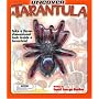 Uncover a Tarantula: Take a Three-Dimensional Look Inside a Tarantula!